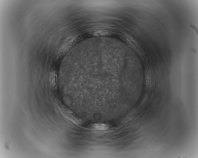 X0000102380169200808221810