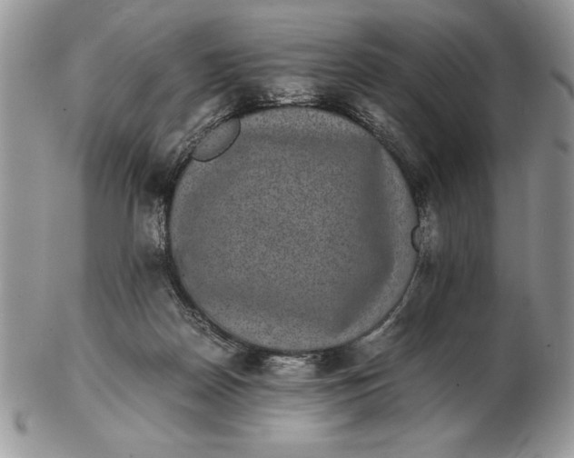 X0000102380170200808221810