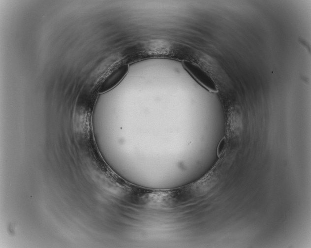 X0000102380172200808221810