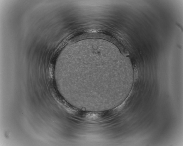 X0000102380174200808221810