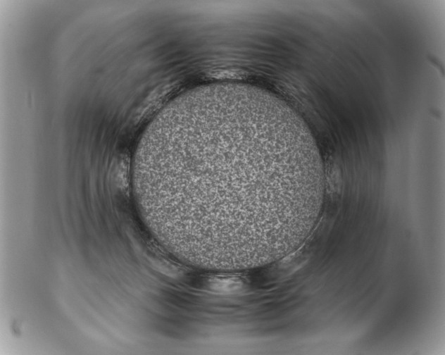 X0000102380175200808221810