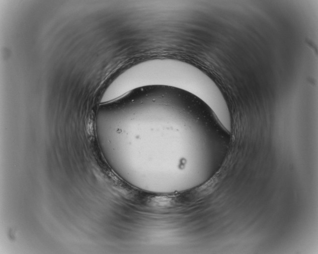 X0000102380176200808221810