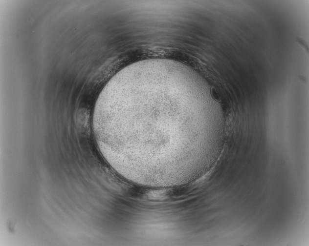 X0000102380178200808221810