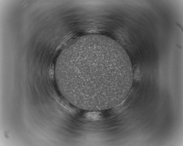 X0000102380179200808221810