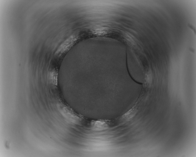 X0000102380180200808221810