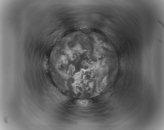 X0000102380181200808221810