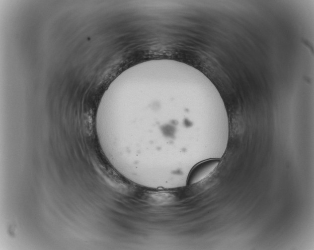 X0000102380183200808221810