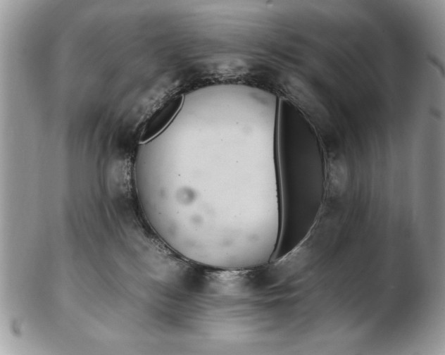 X0000102380184200808221810