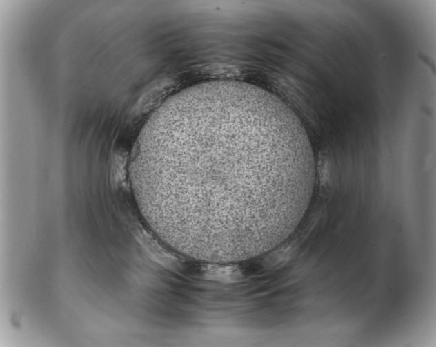 X0000102380185200808221810