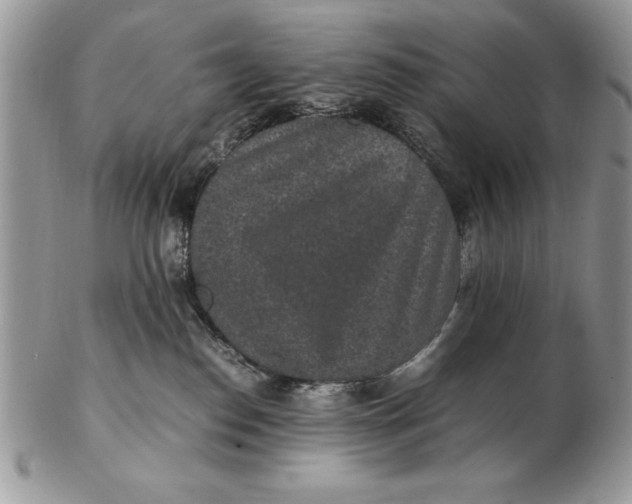 X0000102380186200808221810