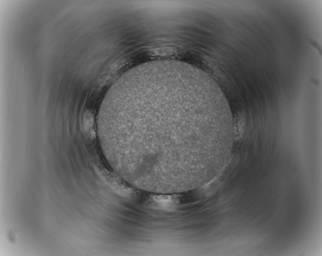 X0000102380187200808221810