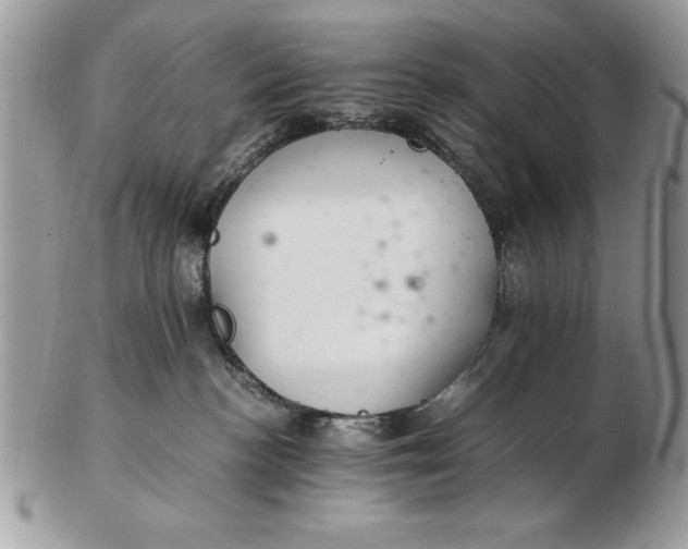 X0000102380188200808221810