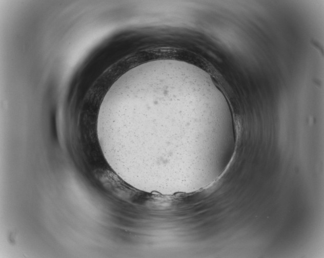 X0000102380190200808221810