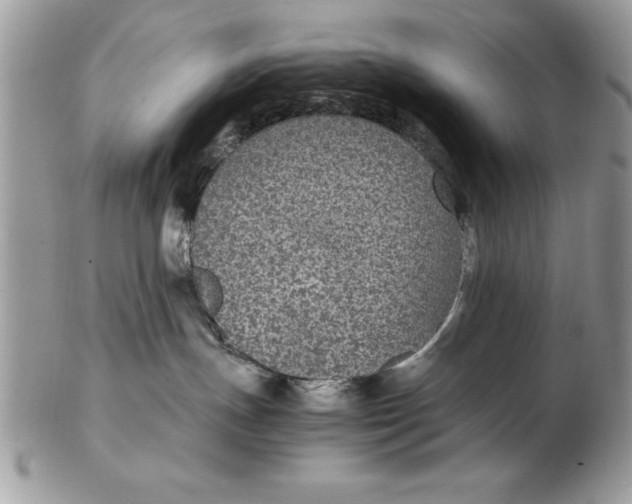 X0000102380191200808221810