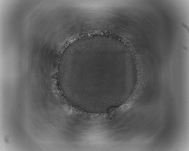 X0000102380192200808221810