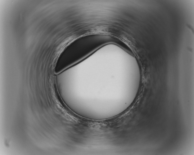 X0000102380193200808221809