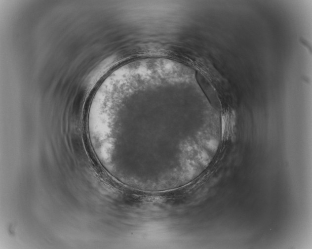 X0000102380195200808221809