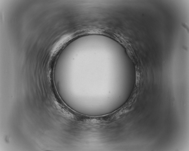 X0000102380197200808221809