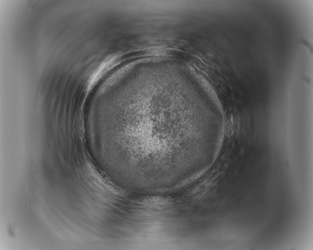 X0000102380198200808221809