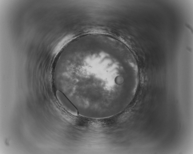 X0000102380199200808221809