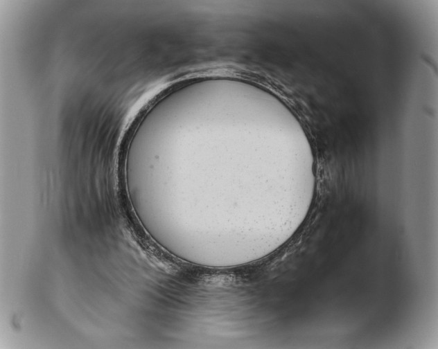 X0000102380200200808221809