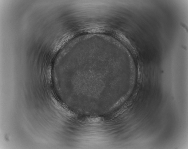 X0000102380202200808221809