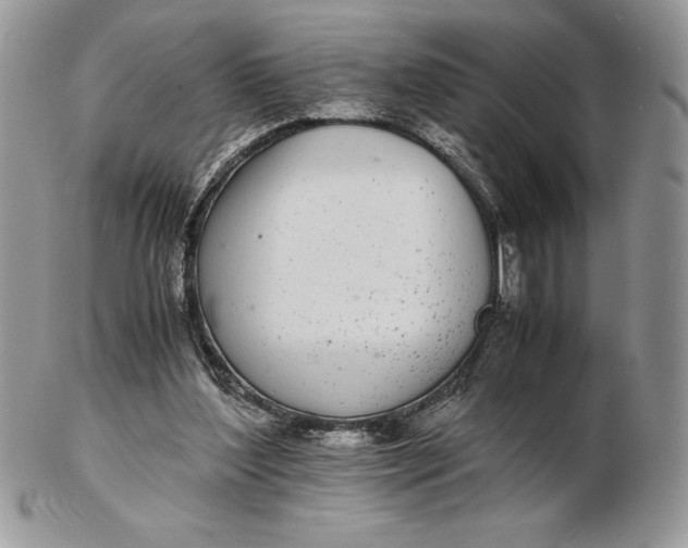 X0000102380204200808221809