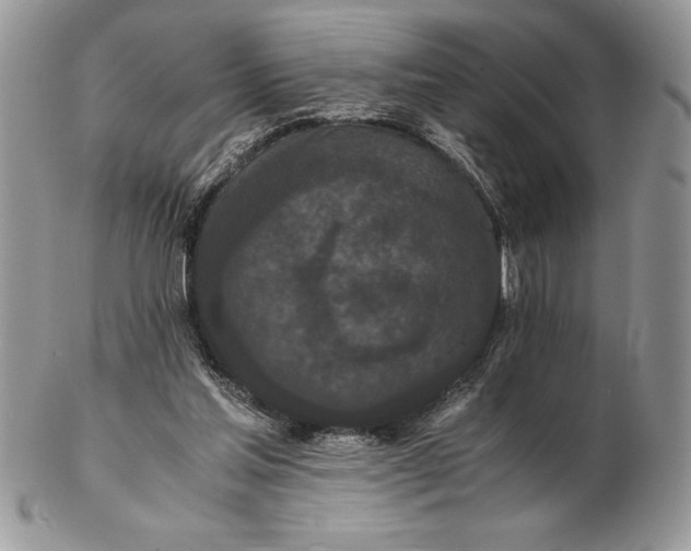 X0000102380205200808221809