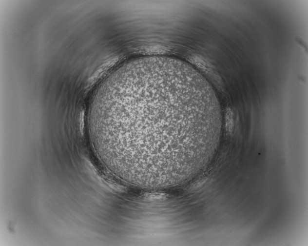 X0000102380206200808221809