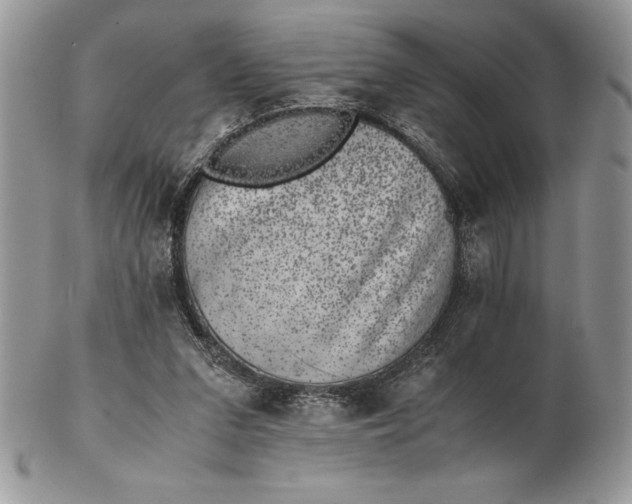 X0000102380207200808221809