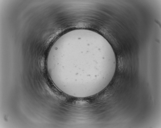 X0000102380208200808221809