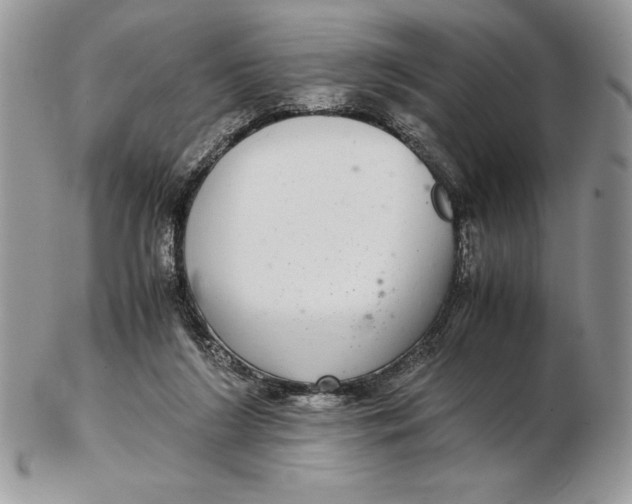 X0000102380212200808221809