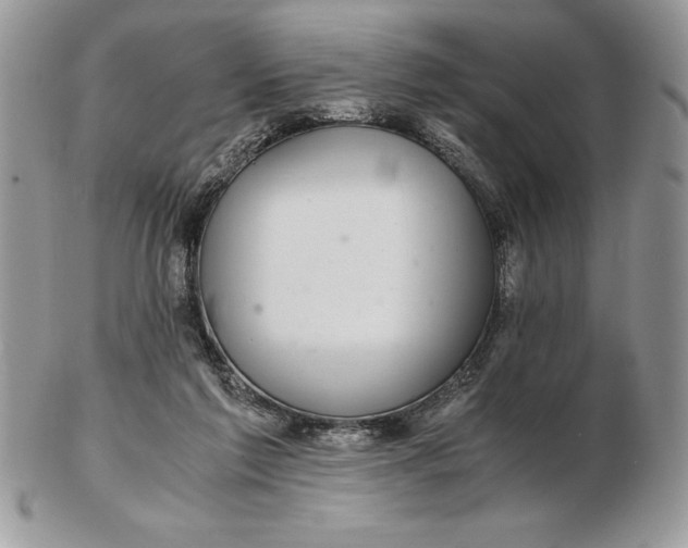 X0000102380213200808221809