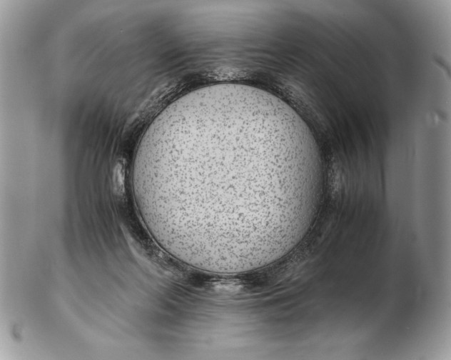 X0000102380214200808221809