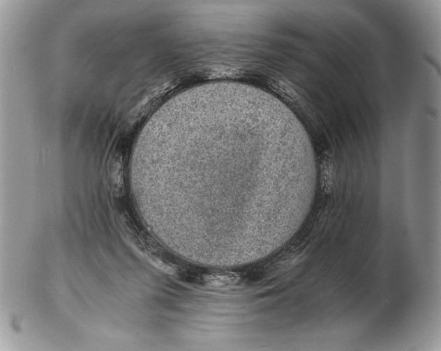 X0000102380215200808221809