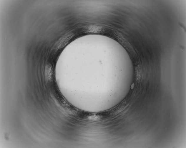 X0000102380216200808221809