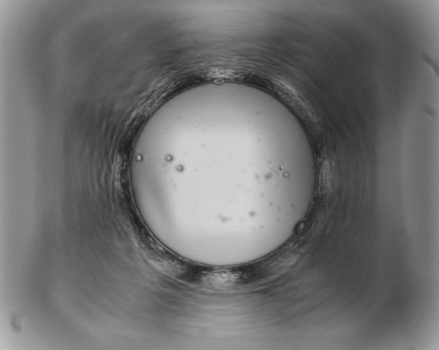 X0000102380217200808221809