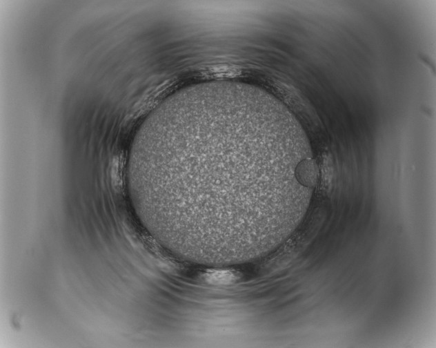 X0000102380218200808221809