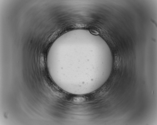 X0000102380220200808221809