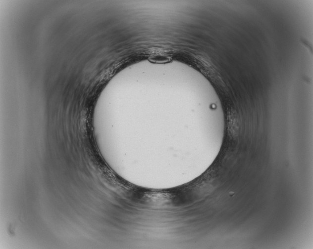 X0000102380221200808221809