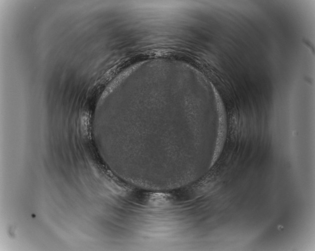 X0000102380222200808221809