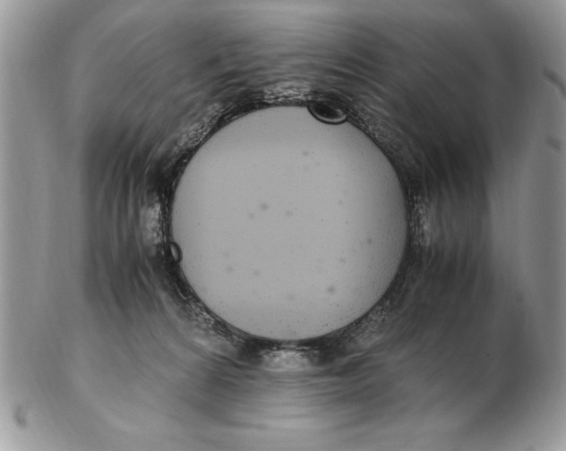 X0000102380224200808221809