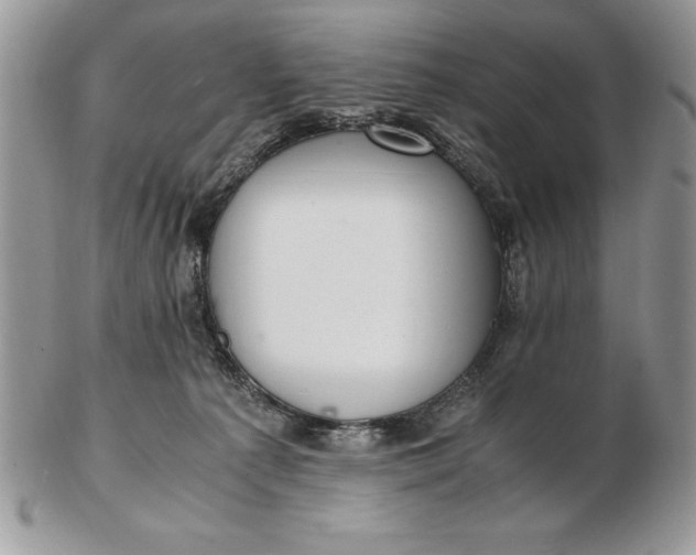 X0000102380225200808221809