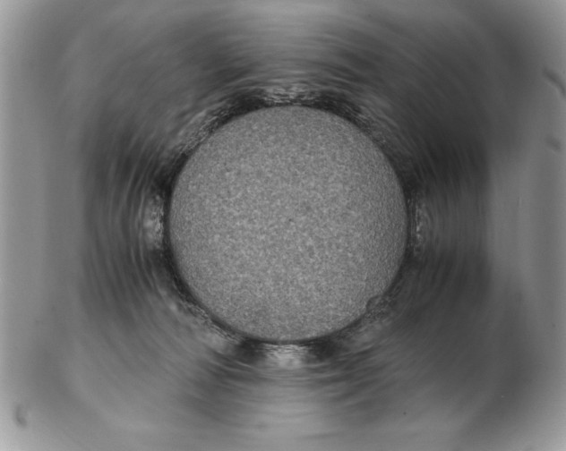 X0000102380226200808221809