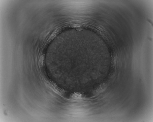 X0000102380227200808221809