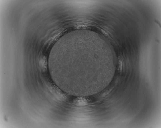 X0000102380228200808221809