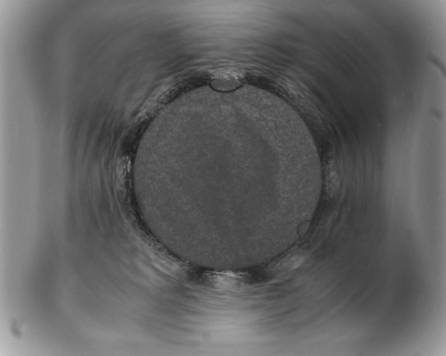 X0000102380229200808221809