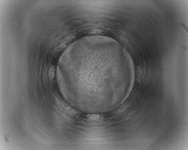 X0000102380230200808221809