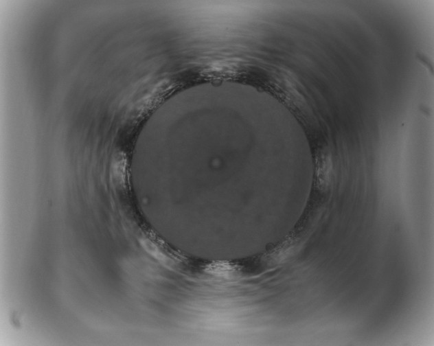 X0000102380231200808221809