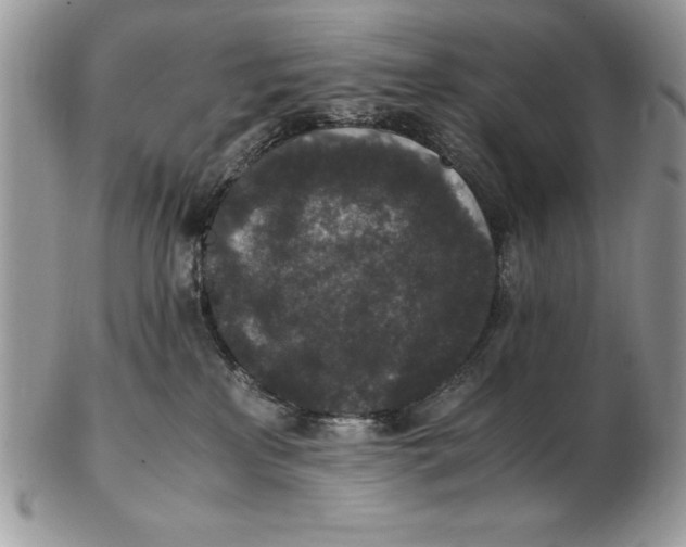 X0000102380233200808221809